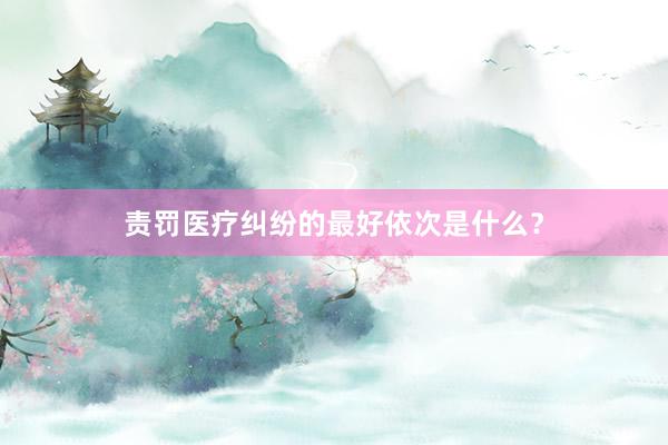 责罚医疗纠纷的最好依次是什么？