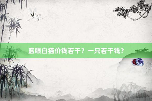 蓝眼白猫价钱若干？一只若干钱？