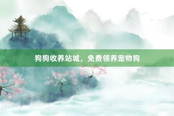 狗狗收养站城，免费领养宠物狗