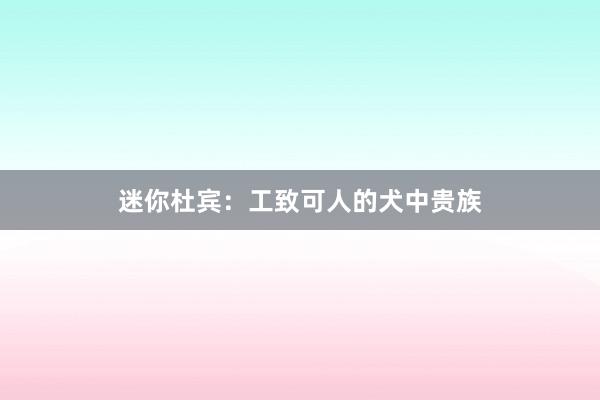 迷你杜宾：工致可人的犬中贵族