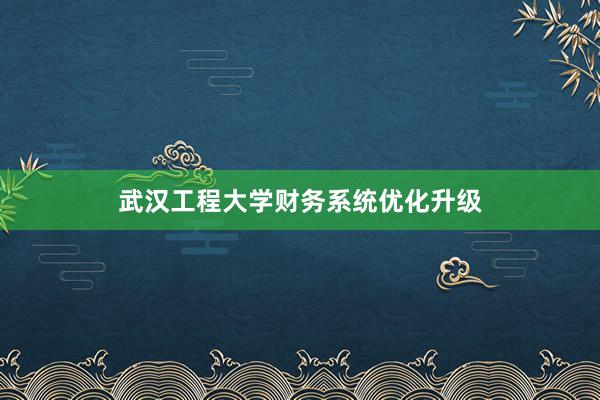武汉工程大学财务系统优化升级